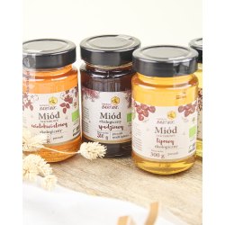 Miody ekologiczne - miód spadziowy 300 g