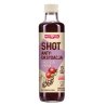 Shot antyoksydacja - 250 ml