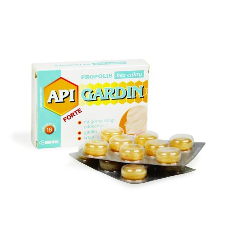 PASTYLKI BEZ CUKRU API GARDIN